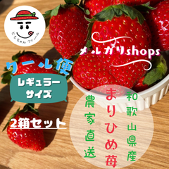 いちご(箱込み約1kg)レギュラーサイズ 2日収穫・発送