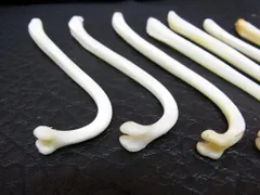 2025年最新】陰茎の人気アイテム - メルカリ