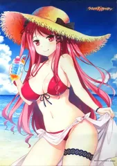 【中古】タペストリー 樋宮あやり こ～ちゃ先生描き下ろしB2タペストリー 「Switchソフト ウィッチズガーデン 初回限定版」 アキバ☆スフマップ購入特典