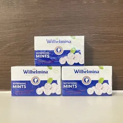 ブラウンダスト2 C106 ウィルヘルミナ クッション ブラウンダスト2 ポップアップ ウィルヘルミナ クッション 韓国