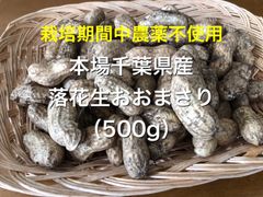 栽培期間中農薬不使用　健康野菜　紫菊芋（約１０Kg）　Kantora 栽培期間中農薬不使用 健康野菜 紫菊芋（約2.5kg） - メルカリ