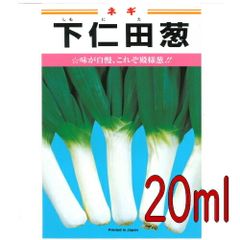 カネコ種苗　下仁田葱　２０ｍｌ