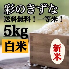 白米　5kg 彩のきずな　新米　埼玉県産　令和4年産　送料無料　米　5キロ