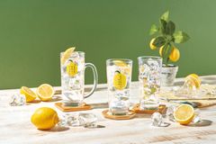 【新品・2個セット】レモンサワー専用グラス 2個セット 435ml 目安ライン付き 専用箱入り 食洗機OK タンブラー 焼酎 ハイボール カクテル バー 居酒屋 ギフト φ7.7cm 高さ15.2cm 日本製