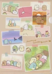 【中古】クリアファイル 写真柄 A4クリアファイル 「すみっコぐらし展～5周年でもここがおちつくんです～」