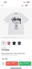 2025年最新】stussy ワールドツアー tシャツの人気アイテム