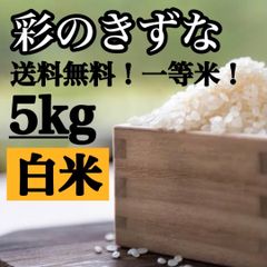 白米　5kg 彩のきずな　新米　埼玉県産　令和5年産　送料無料　米　5キロ