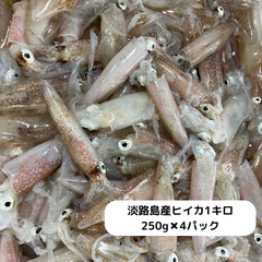 淡路島産ヒイカ1キロ 鮮魚 淡路島 ギフト