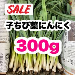 【農家直送】子ちび葉にんにく 300g 即購入OK mdC