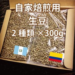 生豆/スペシャルティコーヒー自家焙煎用生豆300g×2種類【送料無料】