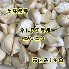 兵庫県産 令和7年度産 ニンニク バラ 箱込み1kg にんにく - メルカリ