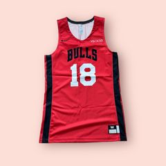 シカゴブルズNIKE NBAサマーリーグ選手支給品ジャージMサイズ