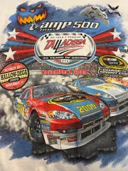 NASCAR Amp Energy 500  バックドライバー　ヴィンテージ　tシャツ　カーレース　レーシング　F1 ドラッグレース　モータースポーツ　マクラーレン　フェラーリ