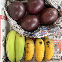 2箱のみ！大人気セット　沖縄産パッションフルーツ、銀バナナ、アップルバナナ
