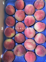 まーちゃんさま専用