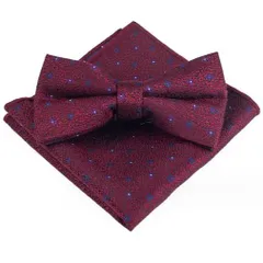 蝶ネクタイ　ポケットチーフ　　2点セット　結婚式　パーティー　イベント　卒業式　入学式　入社式　ダンスパーティー　バーテンダー　ストライプ柄　ワインレッド色　ネイビー色　ホワイト色　シルバー色　ドック柄　ワンタッチ　スーツ　小物　格安　ワイシャツ