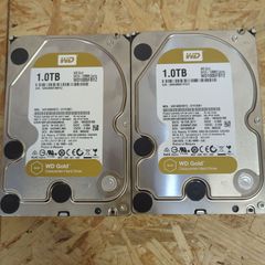 Western Digital Gold 1TB 2台セット　（健康状態：正常）3.5インチ