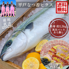 青空レストランで紹介！平戸なつ香ヒラス(半身・約１㎏)