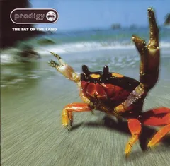 The prodigy the day is レコード box 新品 未使用 2025年最新】prodigy レコードの人気アイテム - メルカリ