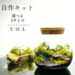 【制作キット】ツール無/16cm【石畳が作れる】LEDライト付ボトルテラリウム  新生活 入学祝い 歓迎会 送別会プレゼント　作成キット 苔セット 苔 制作 ハンドメイド 自作キット キット 手作り ギフト プレゼントにも 送料無料