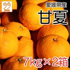 愛媛県産 甘夏 7kg×2箱 1999円 訳あり 家庭用 みかん 柑橘