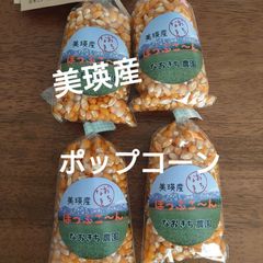 美瑛産・はじける！香ばしいポップコーン【100g×4】