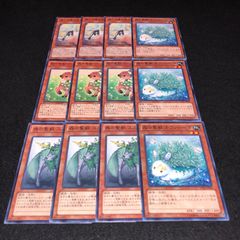 遊戯王 NO.840 森の聖獣カラントーサ 森の聖獣ユニフォリア 森と目覚の春化聖 森の聖獣ヴァレリフォーン 各3枚 計12枚