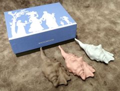 【激レア】Wedgwood ウェッジウッド 箸置き貝殻 3点