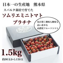 【極み】希少な高濃度フルーツトマト　ソムリエミニトマト　プラチナ１.５kg（９０玉～１５０玉）