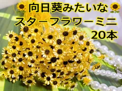 2024年最新】ヒマワリハーバリウムの人気アイテム - メルカリ