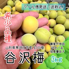 訳あり クール便 3kg【幻の梅】山形県寒河江市産 谷沢梅 箱抜き 中熟 青梅