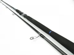 ソルティスト400 楽天市場】ダイワ ソルティスト TW 400XHL PE SPECIAL / ベイト