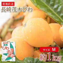 【5月初旬から順次ご発送】 【 長崎茂木びわ サイズ M 約 1kg 目安 30個 前後 】送料無料 産地直送 長崎茂木びわ 茂木びわ 長崎びわ 長崎県 長崎県産 茂木 びわ ビワ 枇杷 サイズ M 約 1kg 国産 ご自宅用 果物 くだもの  訳あり