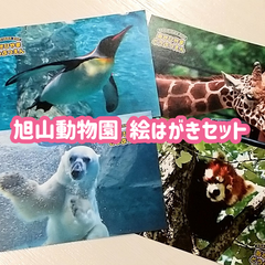 北海道旭山動物園ポストカード4枚組