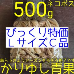 〈びっくり特価〉沖縄県産 島らっきょうバラ(茎なし)ＬサイズＣ品約500g【ネコポス】②