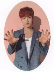 【中古】キャラカード ホシ(SEVENTEEN) ミニカード(楕円型) 「CD Semicolon」 封入特典