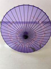 傘　和傘　絹傘　舞踊用傘　日本製絹傘　紫無地に手描き桜　①
