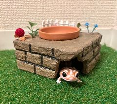 ベリーや植物が咲いたシェルター