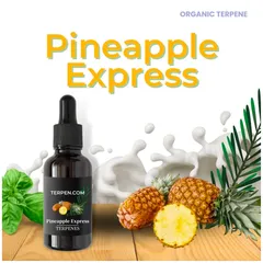 TRUE テルペン 香料 CBD CBN 10ml パイナップルエクスプレス TRUE TERPENES - BAYSIDE GLOBAL