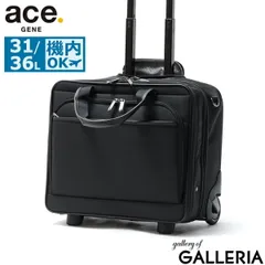 正規品10年保証 エースジーン キャリーケース フロントオープン Sサイズ 機内持ち込みace.GENE 31L 36L 1～2泊 フレックスルーフ2 67572 ブラックのサムネイル
