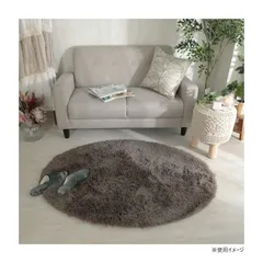 グラムスタイル シフォン 楕円形 GBE グレージュ 90x130cm 「GSCD312205」