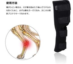 Item thumbnail for item 0dacfea2-a138-4815-957e-620a8e5c7932