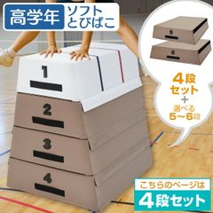 KaRaDaStyle 跳び箱 室内 子供 高学年向け ソフト 飛び箱 とび箱 ジョイント式 小学生 指導ライン 高重量 運動 自宅 子ども 室内 家庭用 高さ80cm 4段セット