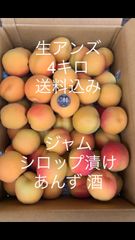［事前販売］◎生あんず 「優品」4キロ 加工用 信州　杏 ジャム シロップ漬け 送料込み