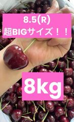 ミーナファーム　プレミアムチェリー　8kg アメリカンチェリー　さくらんぼ