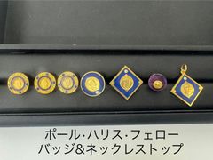 PAUL HARRIS FELLOW      ポール<!-利用不可文字-!>ハリス　ピンバッジ　ネックレストップ　ストーン付き　7点セット　az MID6779