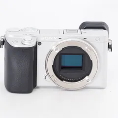 2025年最新】α6400の人気アイテム - メルカリ