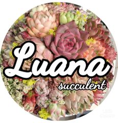 shop-thumbnail