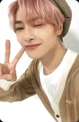 Stray Kids I.N 2023 Seasons Greeting MINI WORLD トレーディングカード 赤