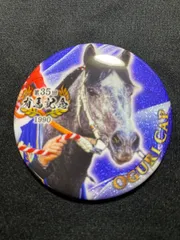 有馬記念　ザ・レジェンド　缶バッジ　コンプリートBOX 2025年最新】有馬記念ザレジェンド缶バッジの人気アイテム